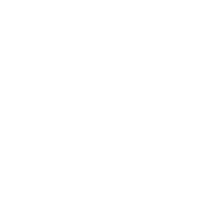 SkyPenguinLabs Logo